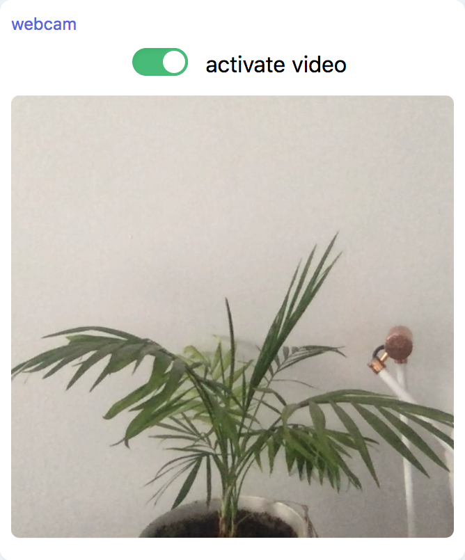 Screenshot of the webcam component